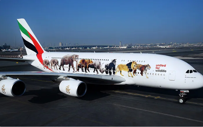 Emirates' Eco-Friendly Amenity Kits: A Sustainable Travel Revolution