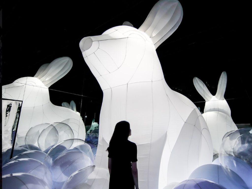 Discover Arte Museum: A Digital Art Experience Like No Othe