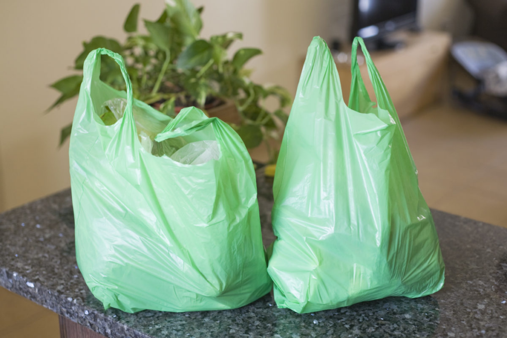 Single-Use Bags
