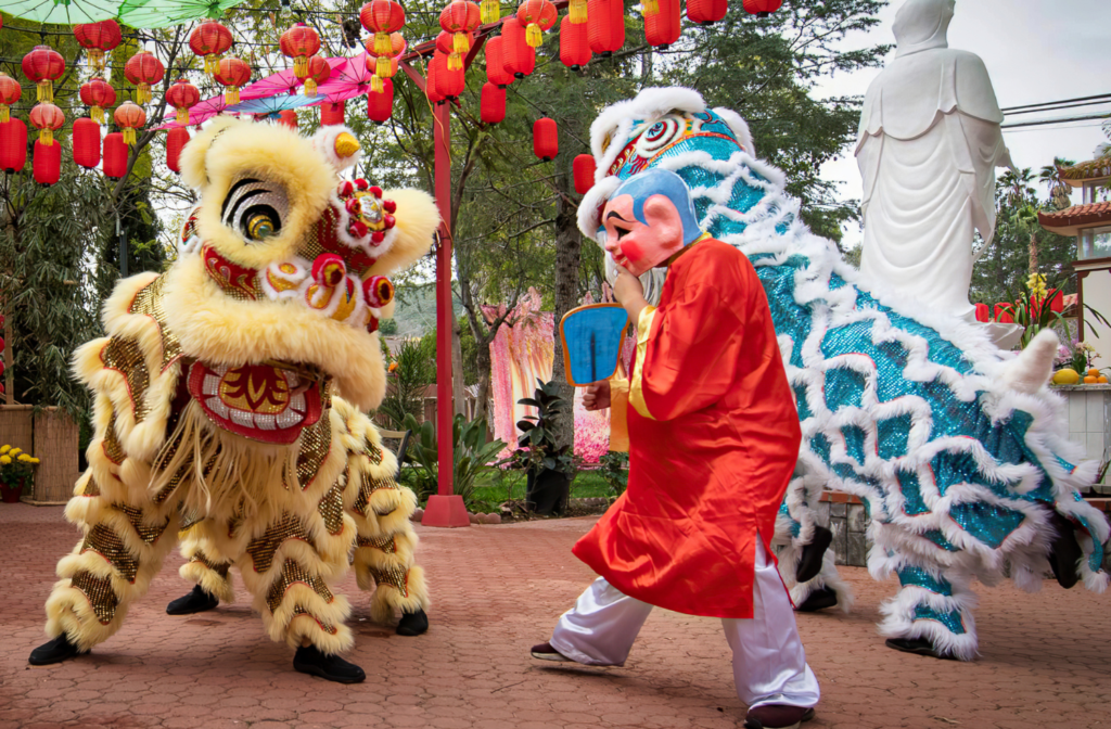 chinese new year gala 2025