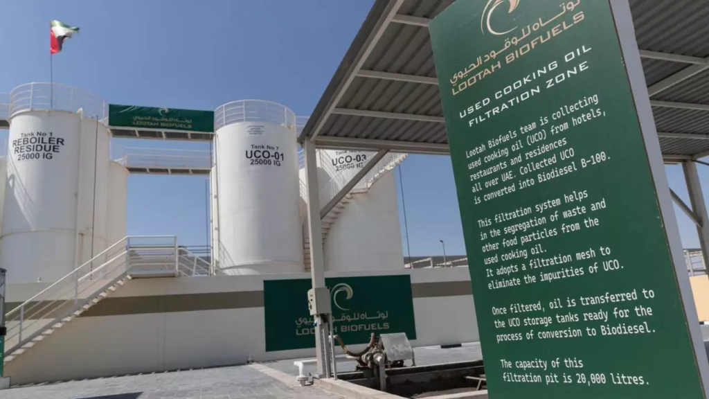 Dubai cooking oil biodiesel project
