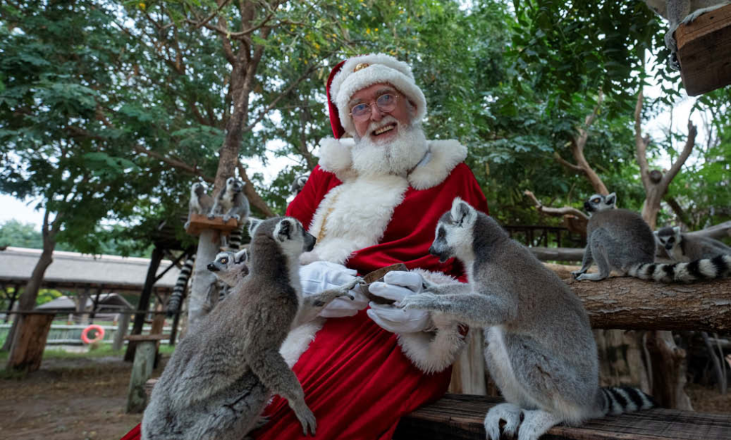 Tales from the Winter Festive Village