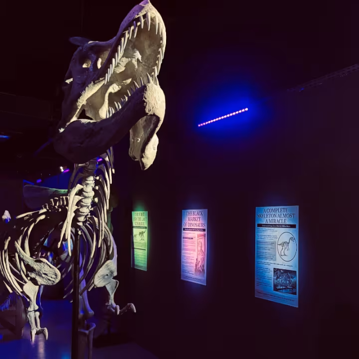 dinosaur immersive VR experience