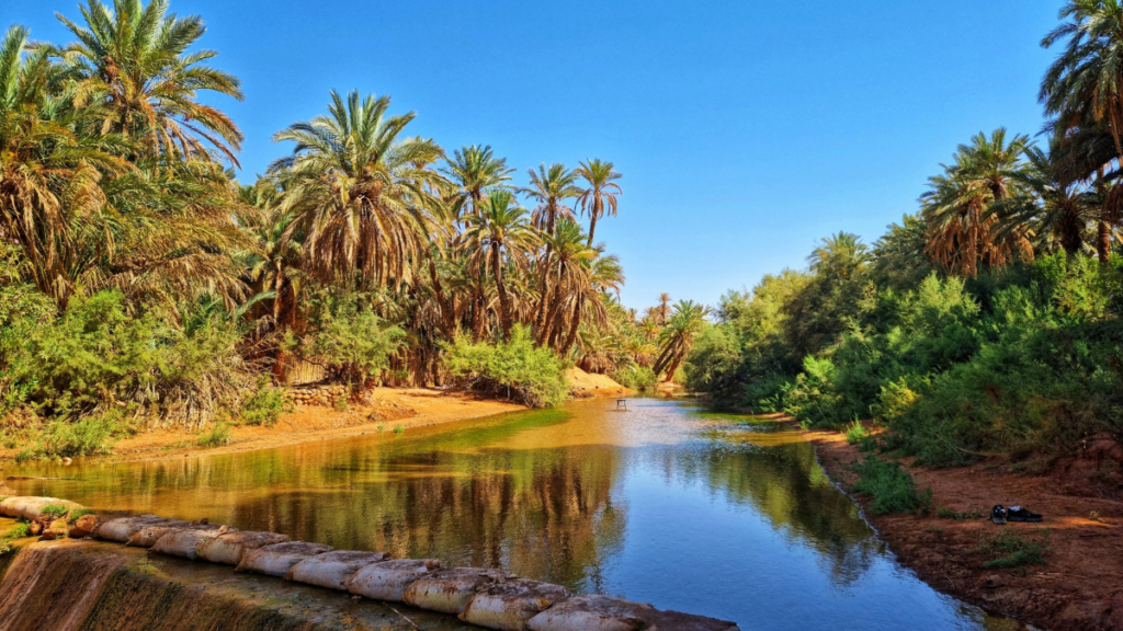 Al Ain Oasis
