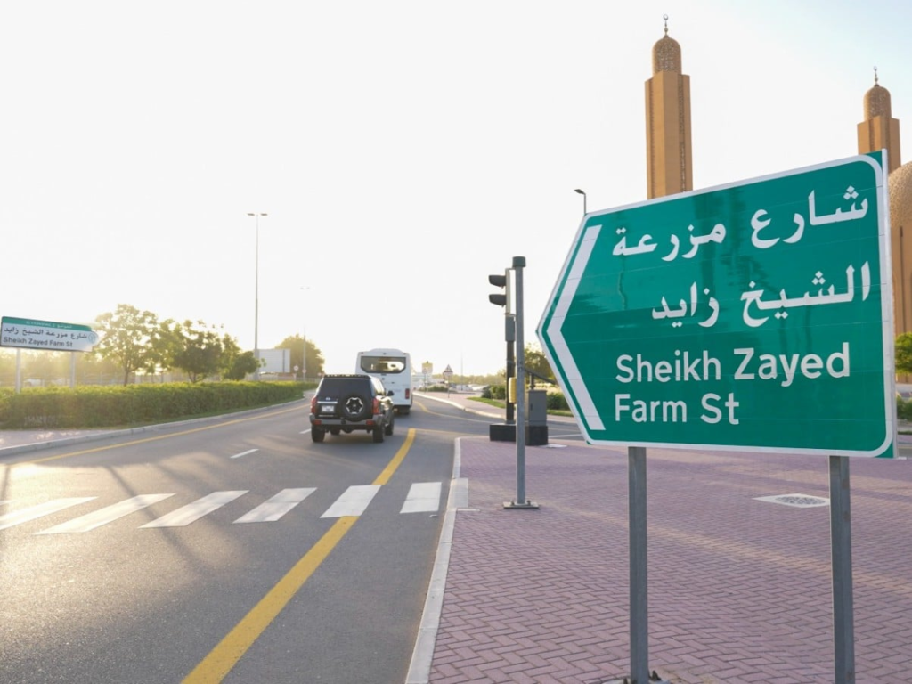 Sheikh Zayed Farm Street