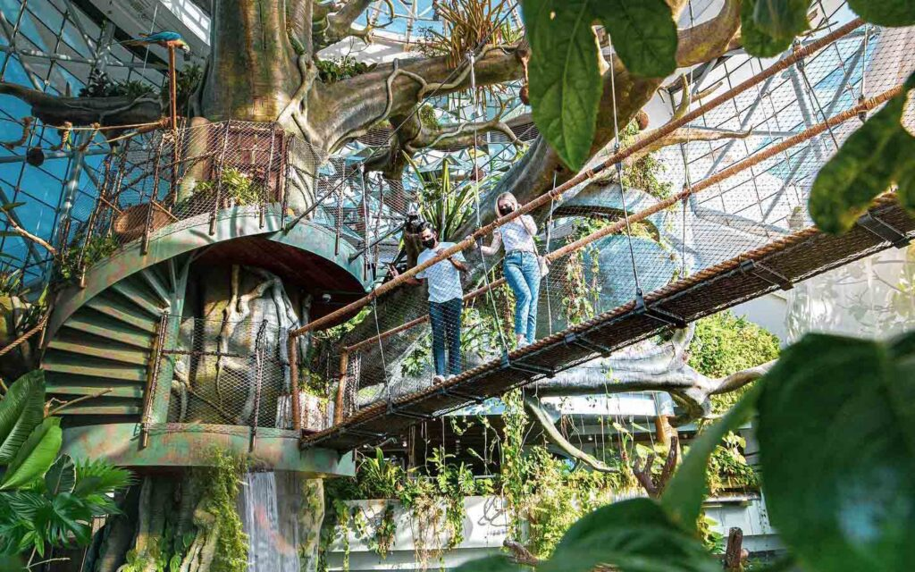 The Green Planet — Dubai’s