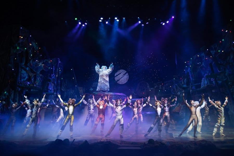 CATS the Musical Abu Dhabi
