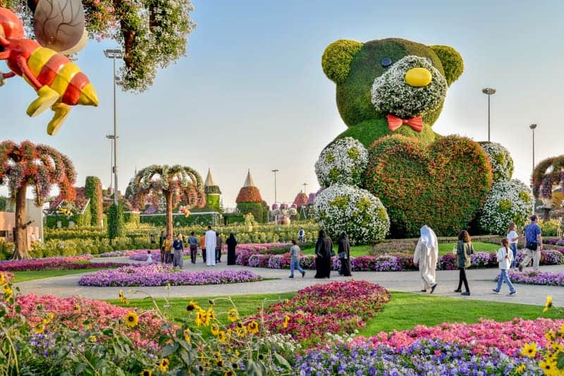 Miracle Garden Dubai