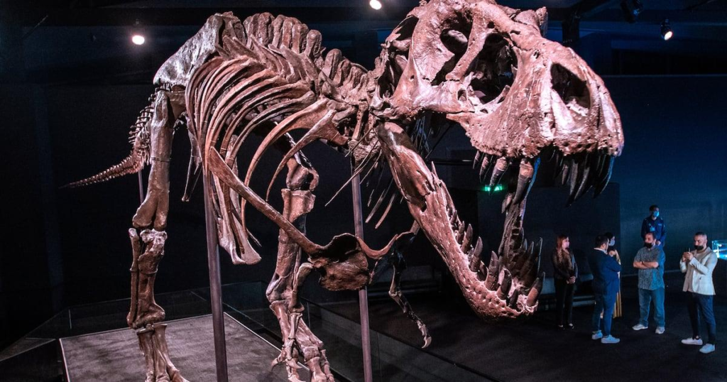 Natural History Museum Abu Dhabi