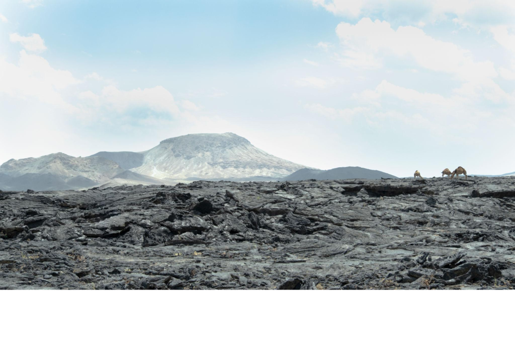 Saudi Arabia’s Harrats Basalt