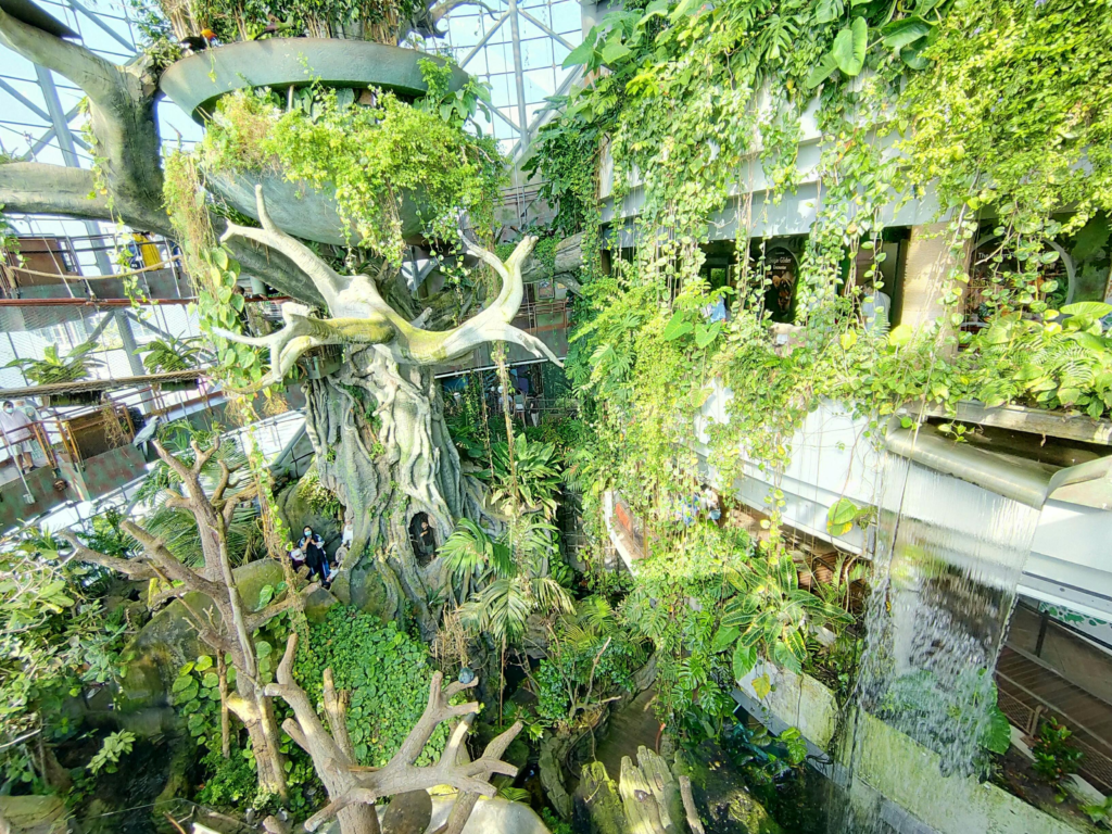 Indoor Rainforest at The Green Planet