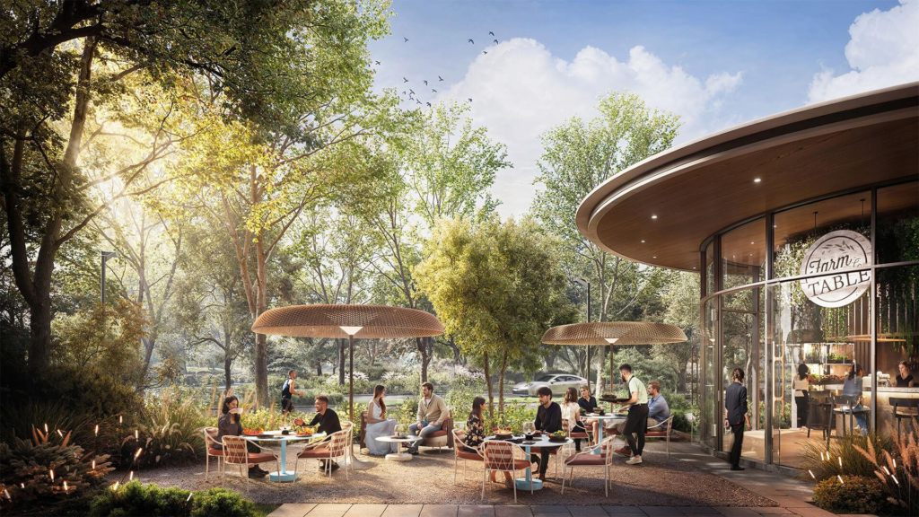 Food, Drinks And Other Facilities