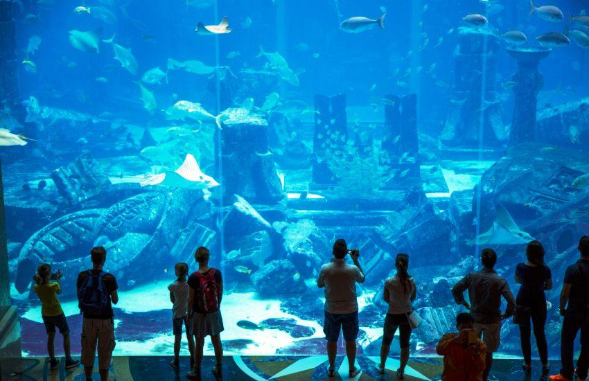 Underwater World at The Lost Chambers Aquarium